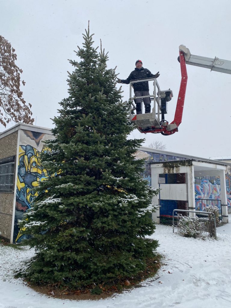 Weihnachtsmarkt der "Carola von Wasa"