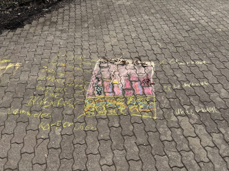 Unsere Haut als Kreidebild